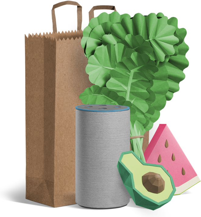 Illustration of grocery bag with produce and echo device