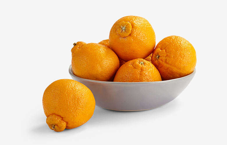 sumo oranges